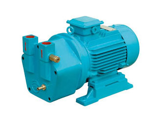 SK Direct-coupled Water-ring Vacuum Pump